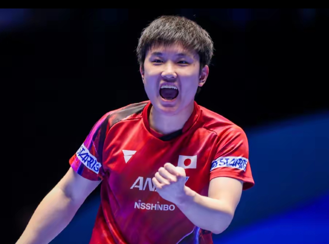 为观众奉献 为观众奉献